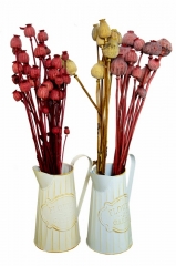 09 Suvo cveće za dekoraciju